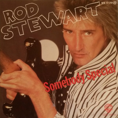 Vinyl / Rod Stewart - Somebody Special