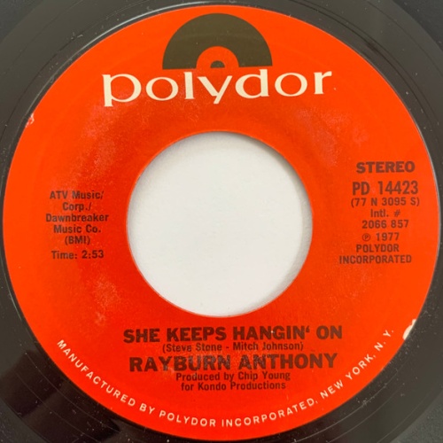 Vinyl / Rayburn Anthony - She Keeps Hangin' On