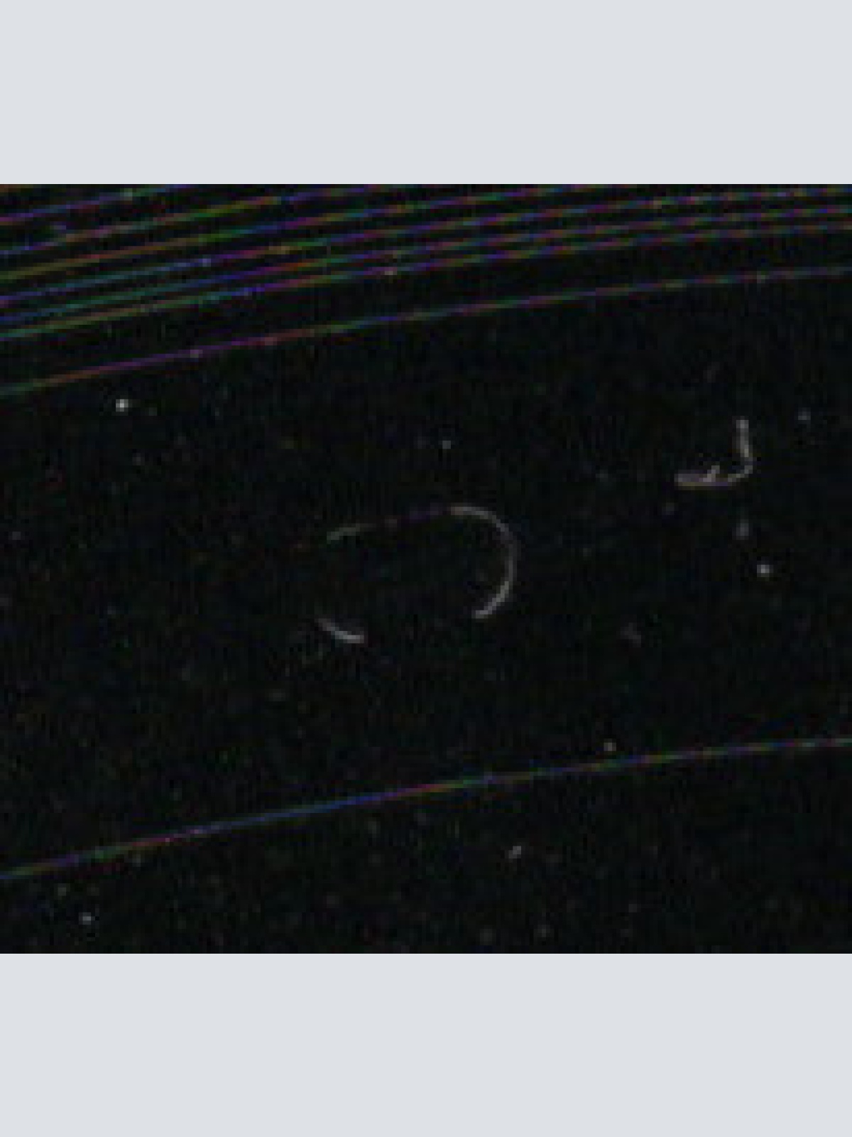 Vinyl / Earl Grant - The End