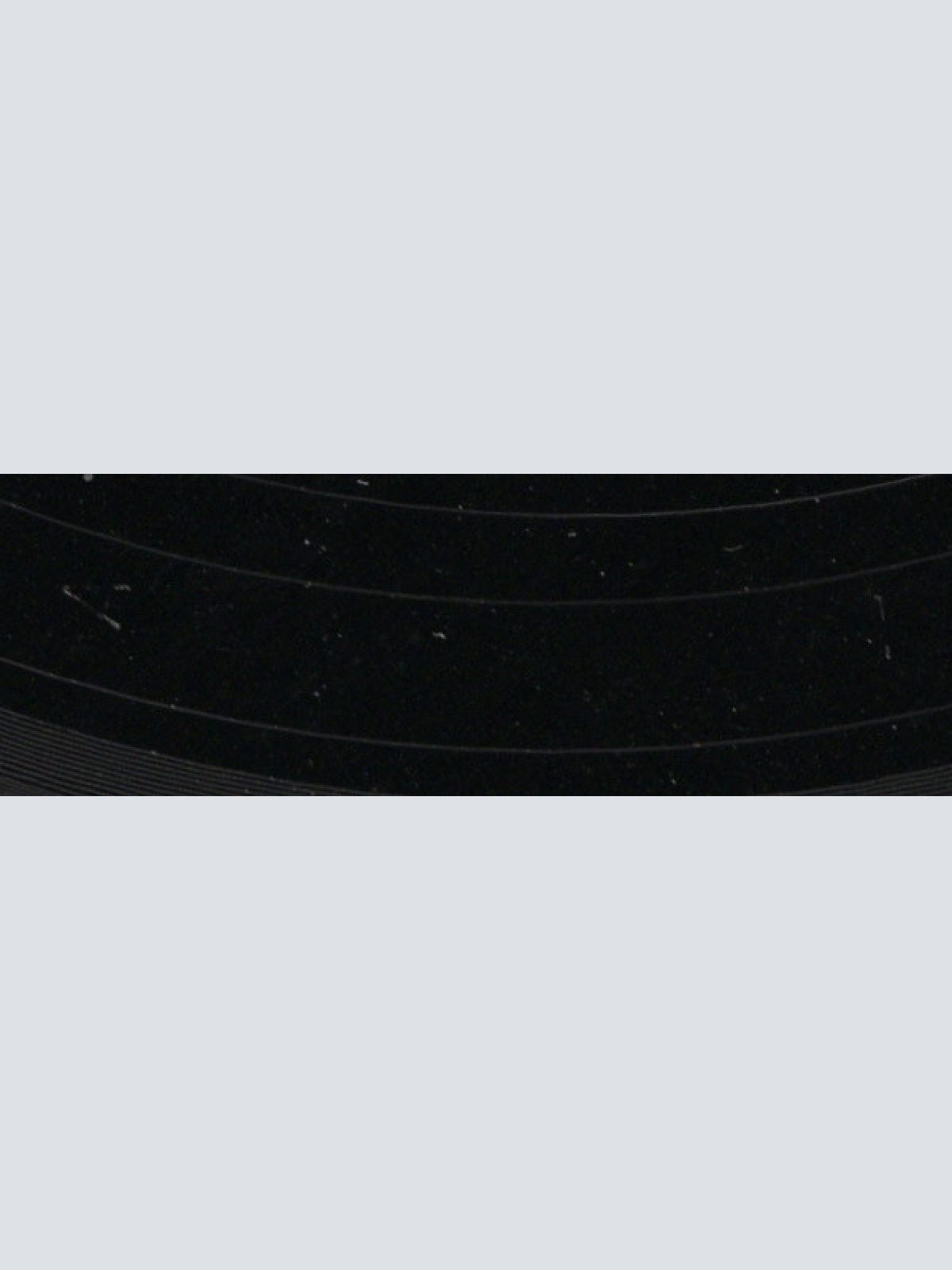 Vinyl / Earl Grant - The End