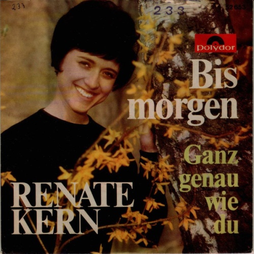 Vinyl / Renate Kern - Bis Morgen
