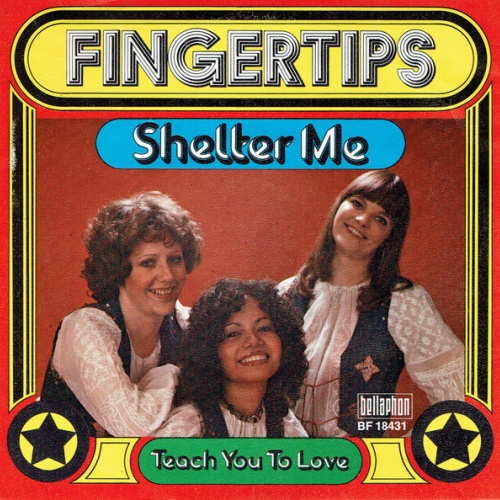 Vinyl / Fingertips (2) - Shelter Me