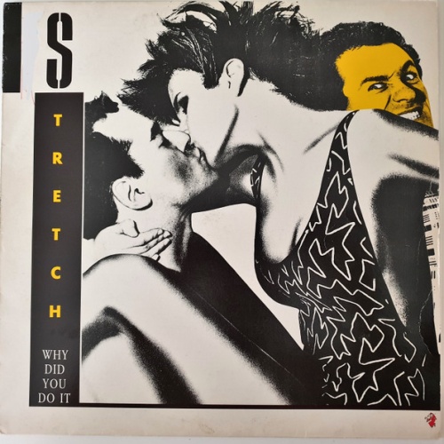 Vinyl / Stretch - Why Did You Do It