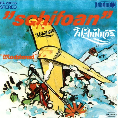 Vinyl / W. Ambros* - Schifoan