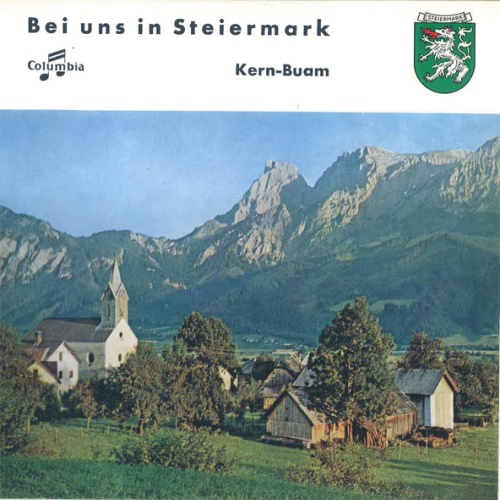 Vinyl / Kern-Buam* - Bei Uns In Steiermark