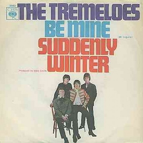 Vinyl / The Tremeloes - Be Mine