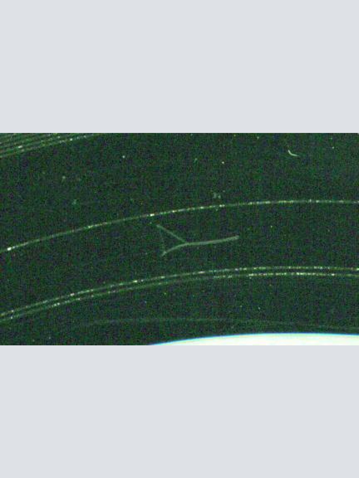 Vinyl / The Beatles - Eight Days A Week