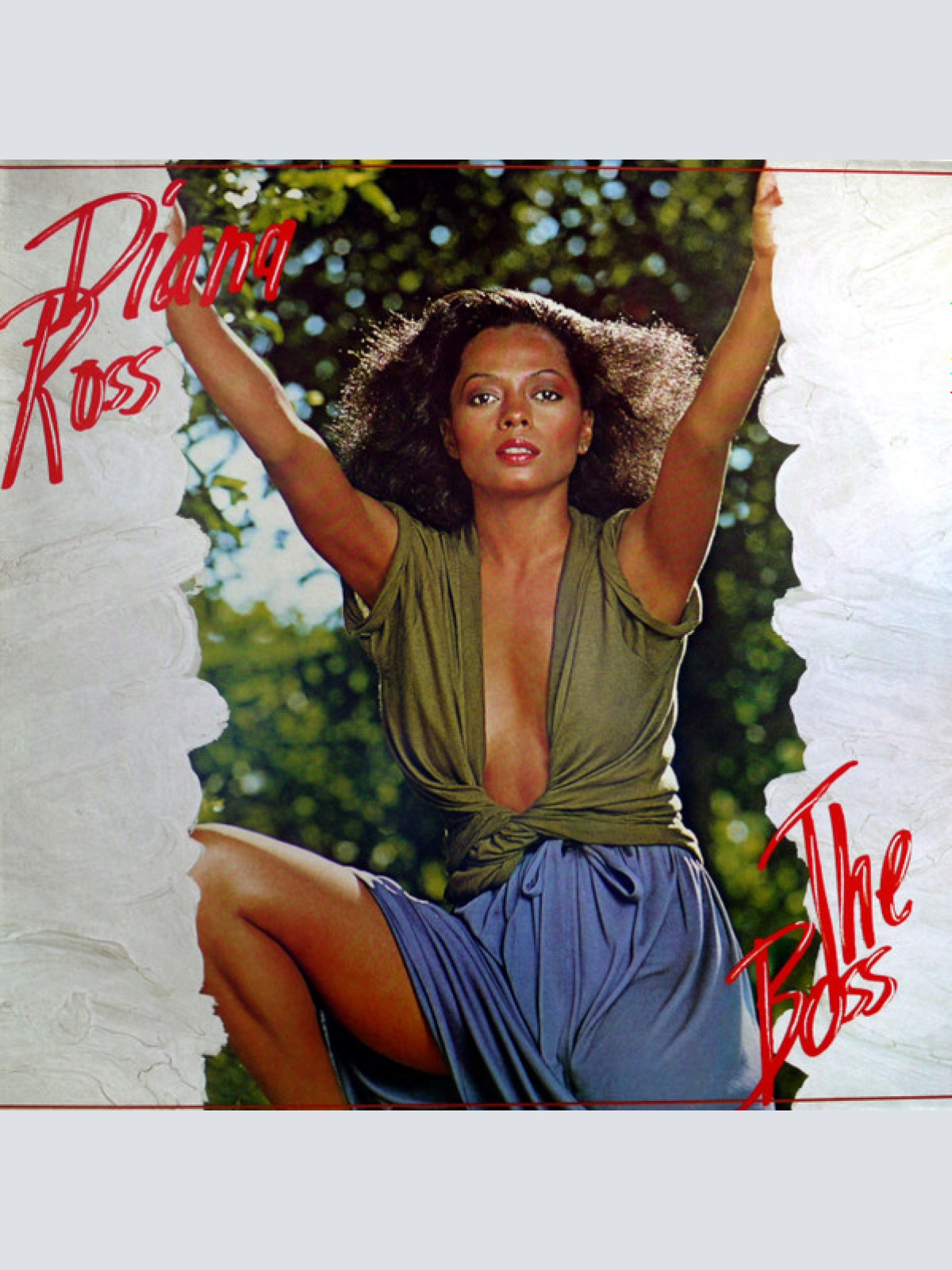 Vinyl / Diana Ross - The Boss
