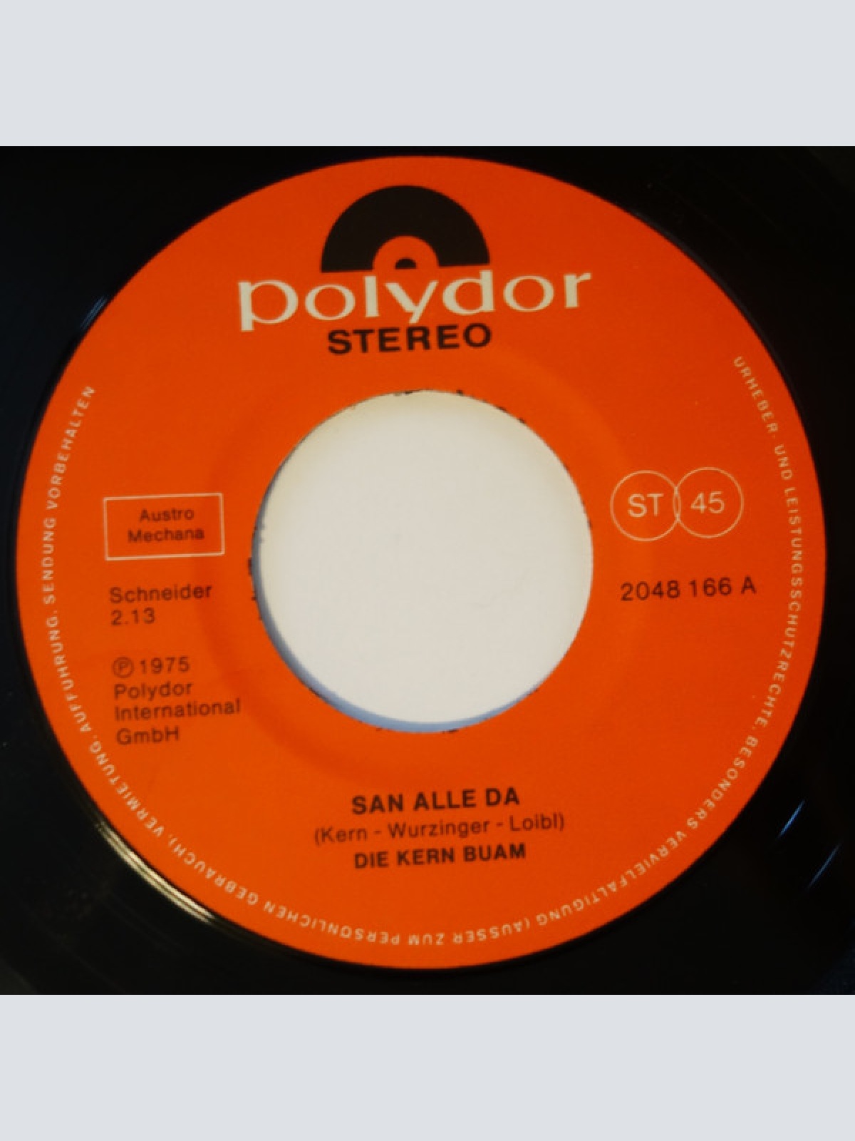 Vinyl / Die Kern Buam - San Alle Da