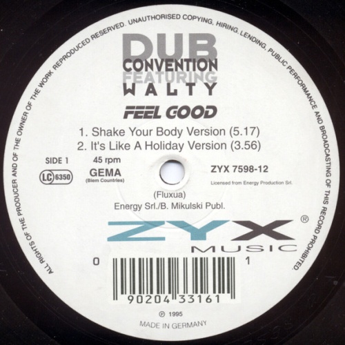 Vinyl / Dub Convention Featuring Walty - Feel Good