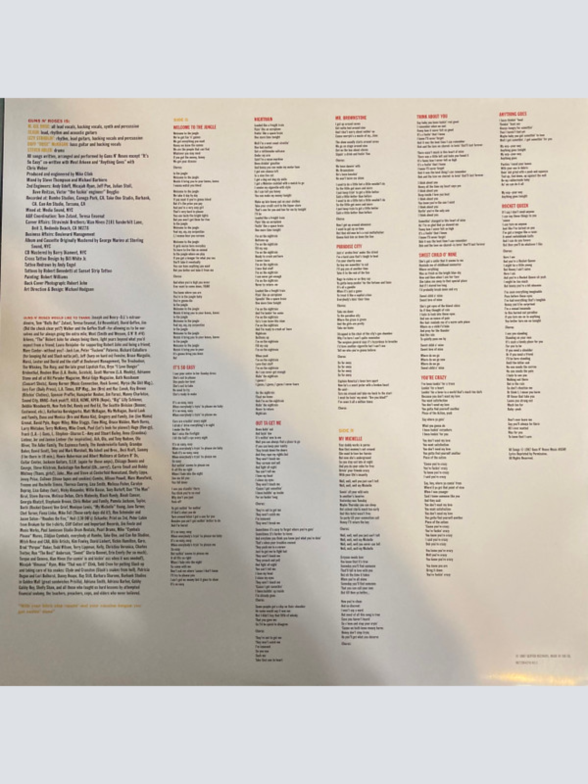 Vinyl / Guns N' Roses - Appetite For Destruction