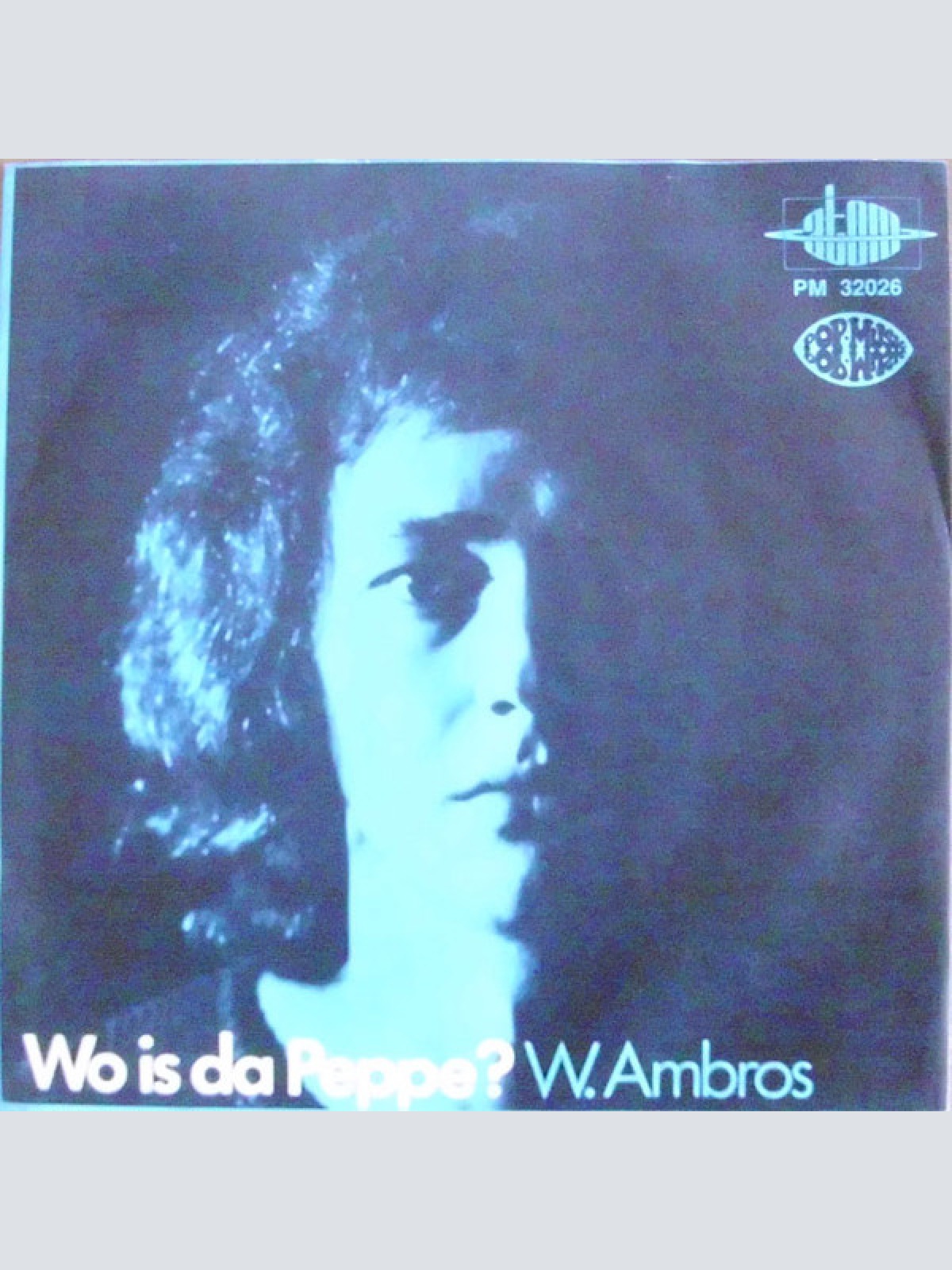 Vinyl / W. Ambros* - Kagran