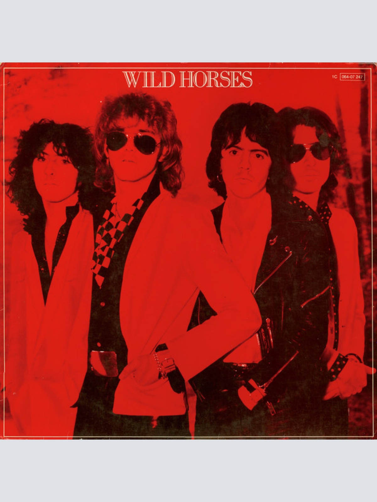 Vinyl / Wild Horses - The First Album