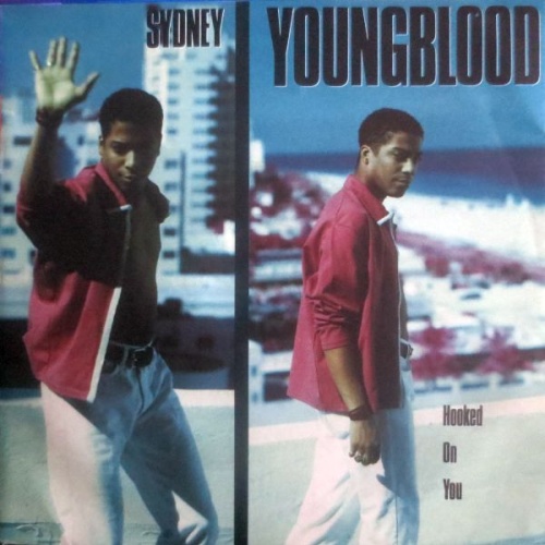 Vinyl / Sydney Youngblood - Hooked On You