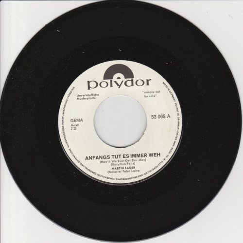 Vinyl / Martin Lauer - Anfangs Tut Es Immer Weh / Wo Ist Die Lebenslängliche Begleiterin
