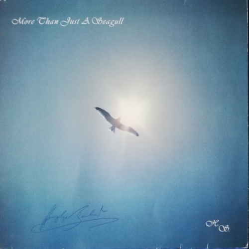 Vinyl / H. S.* - More Than Just A Seagull