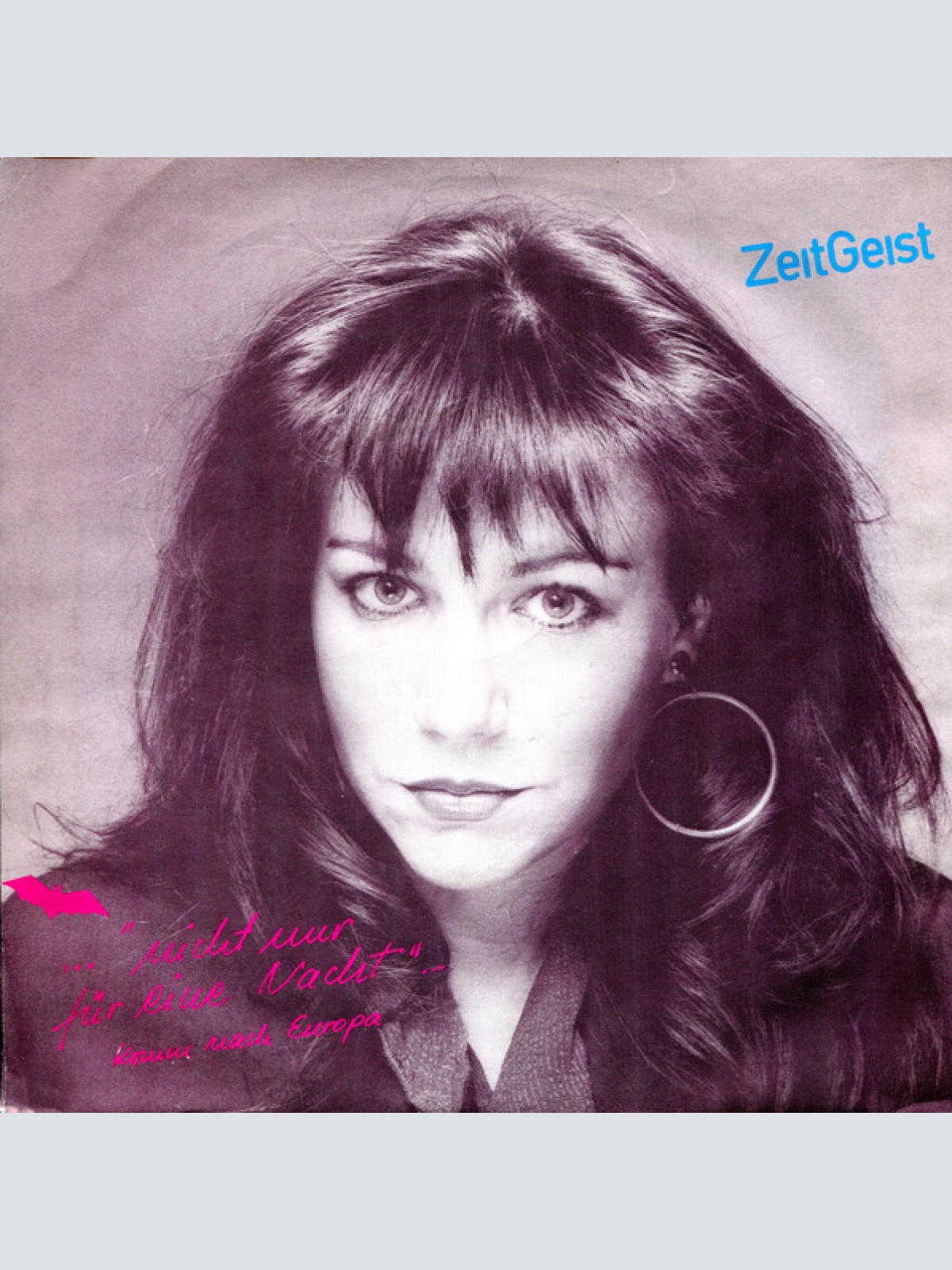 Vinyl / Zeitgeist (4) - Nicht Nur Für Eine Nacht