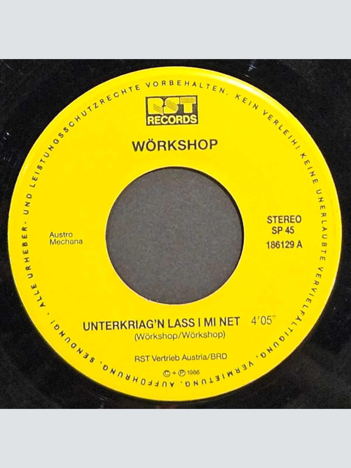 Vinyl / Wörkshop - Unterkriag'n Lass I Mi Net