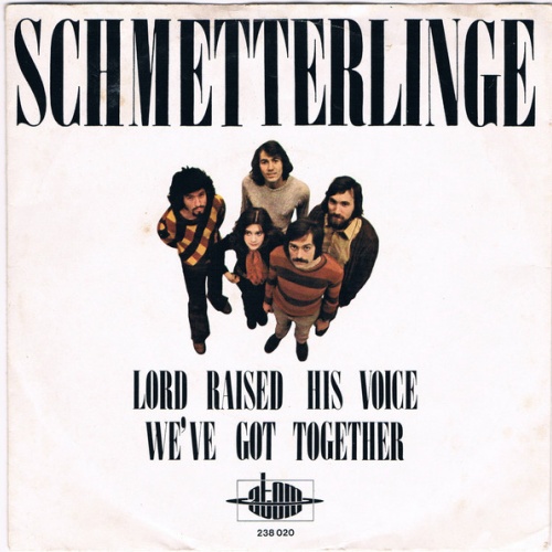 Vinyl / Schmetterlinge - Lord Raised His Voice / We've Got Together