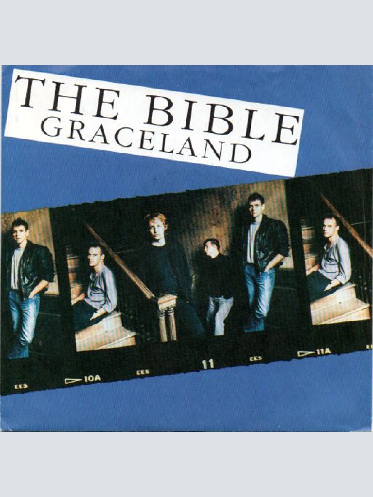 Vinyl / The Bible - Graceland