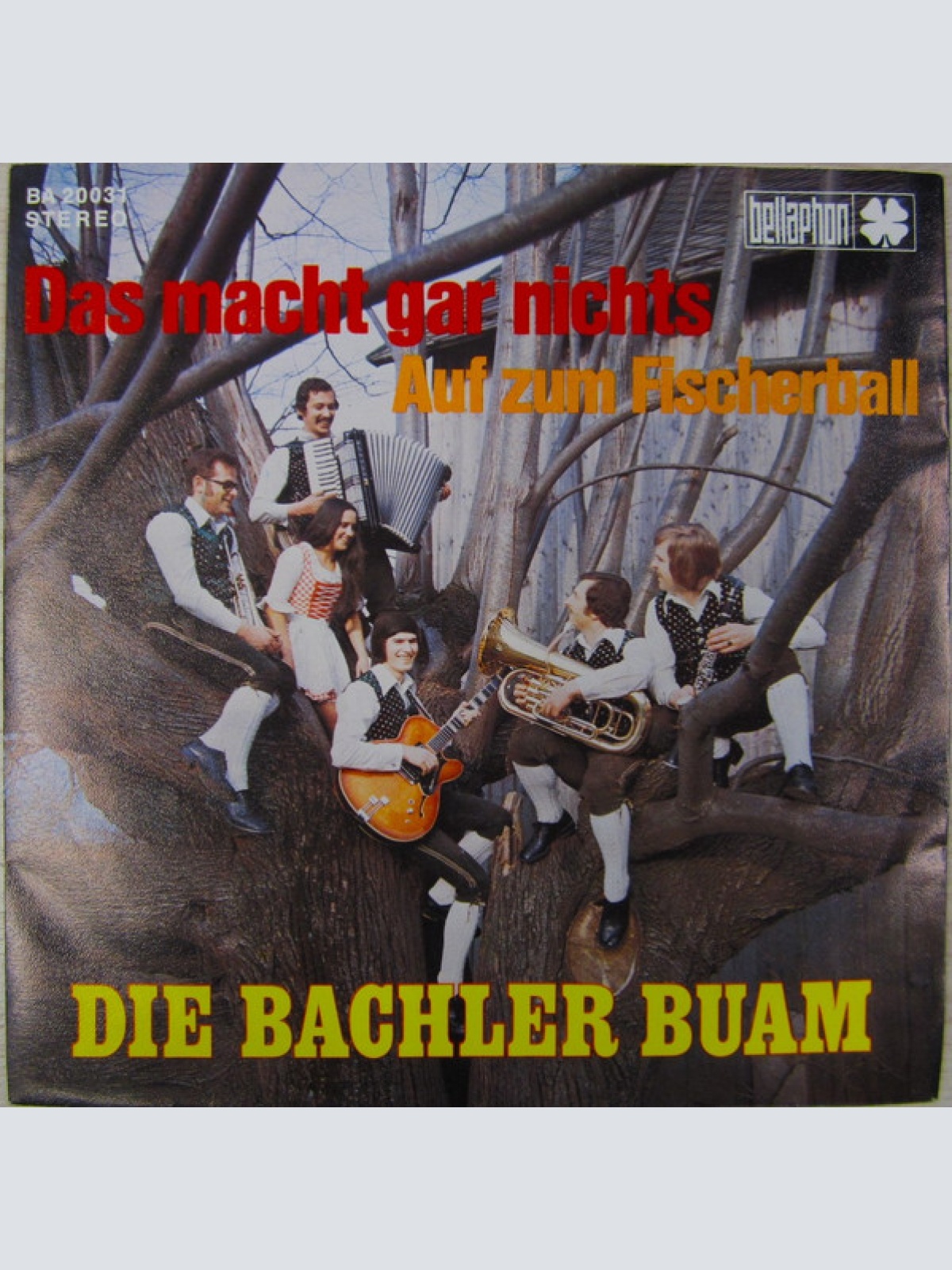 Vinyl / Bachler Buam - Das Macht Gar Nichts