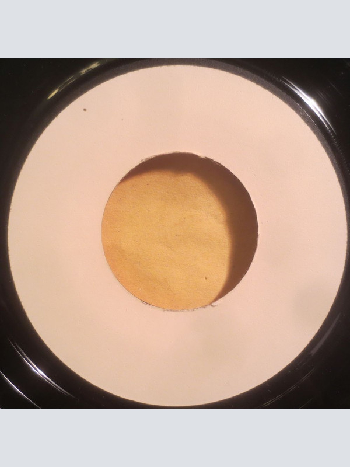 Vinyl / Dr. Hook - What Do You Want?