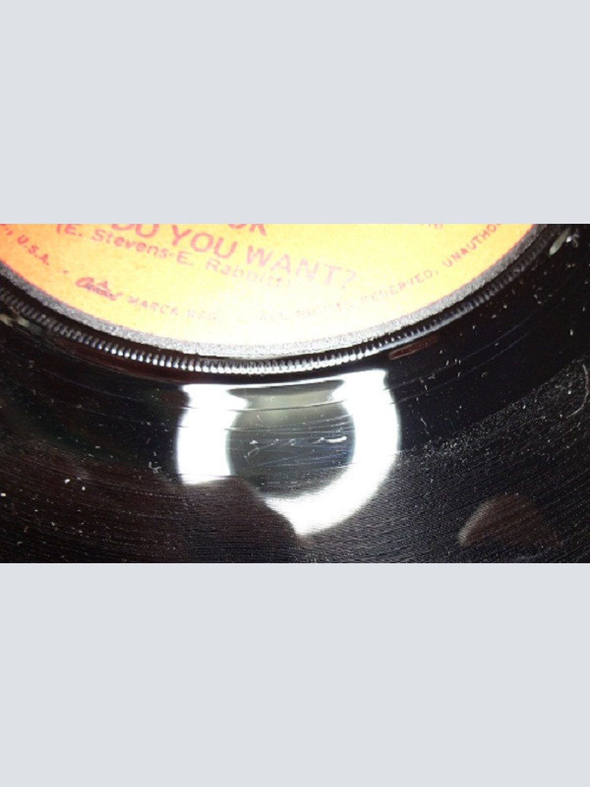 Vinyl / Dr. Hook - What Do You Want?