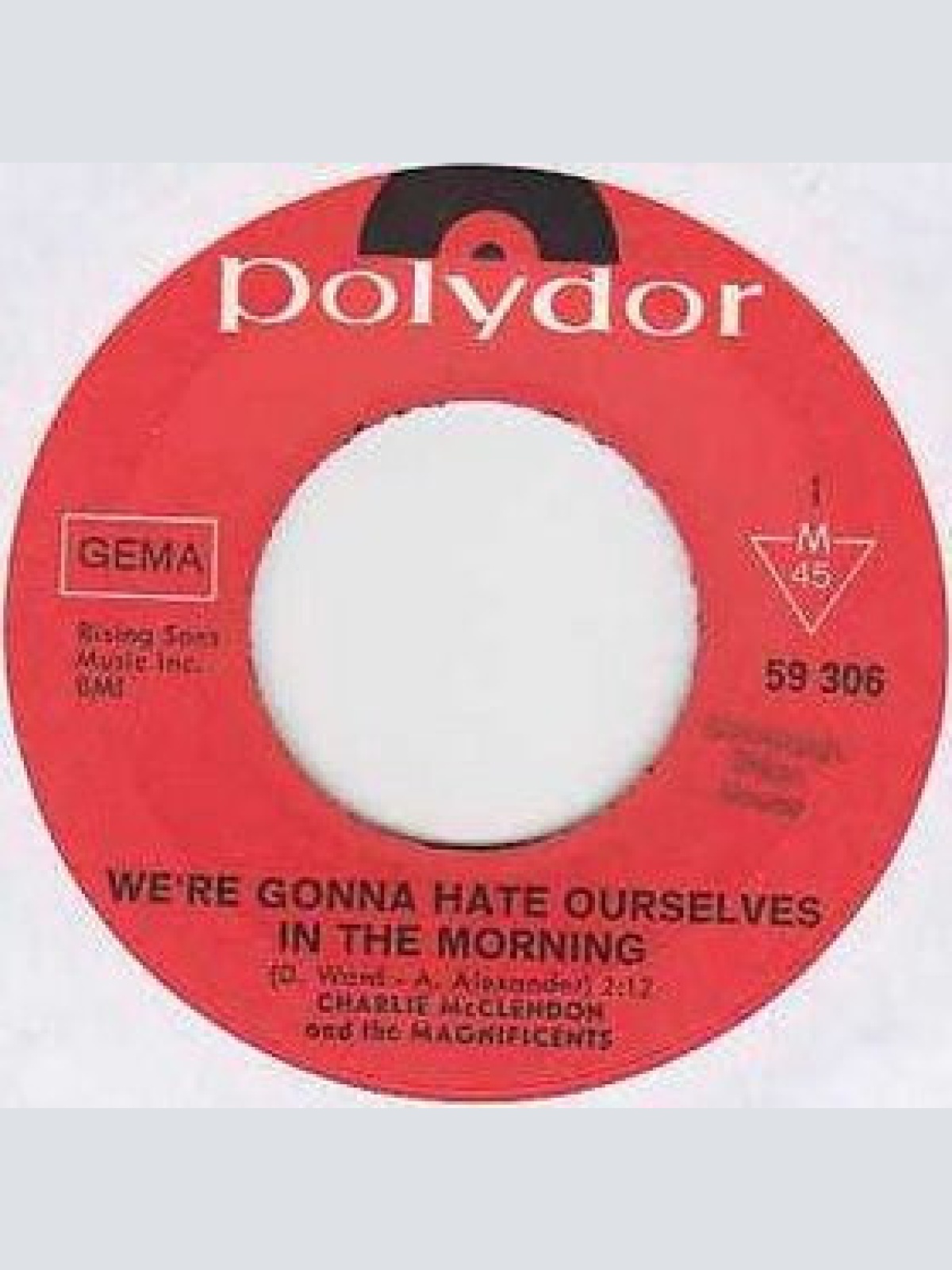 Vinyl / Charlie McClendon And The Magnificents (8) - We're Gonna Hate Ourselves In The Morning