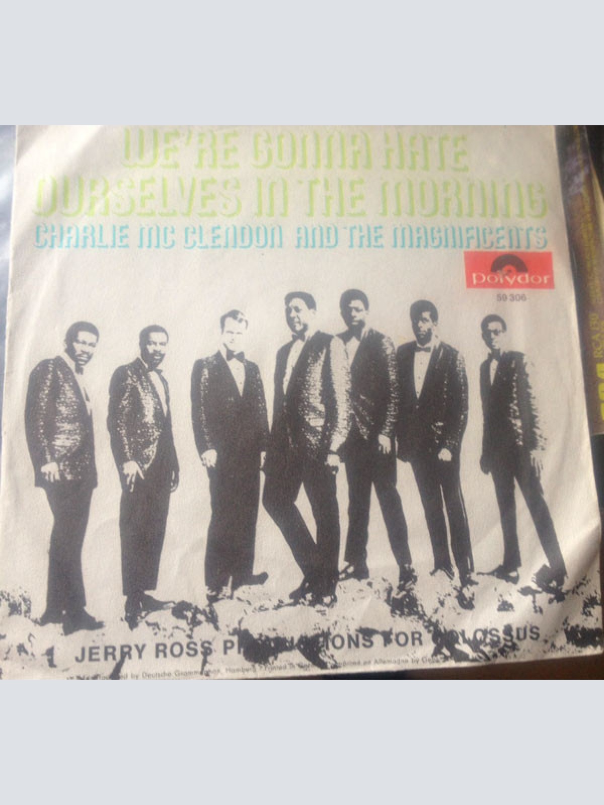 Vinyl / Charlie McClendon And The Magnificents (8) - We're Gonna Hate Ourselves In The Morning