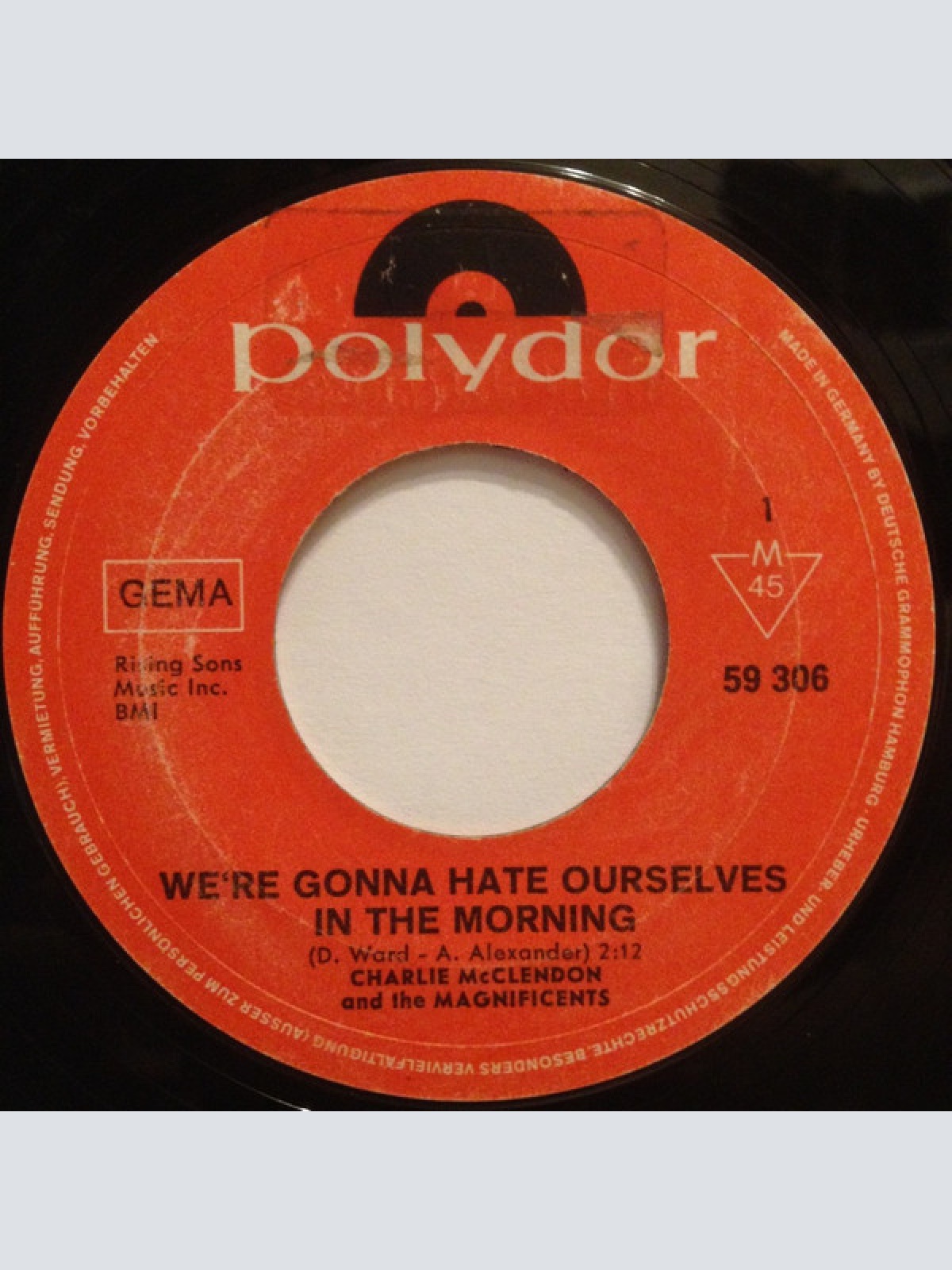Vinyl / Charlie McClendon And The Magnificents (8) - We're Gonna Hate Ourselves In The Morning