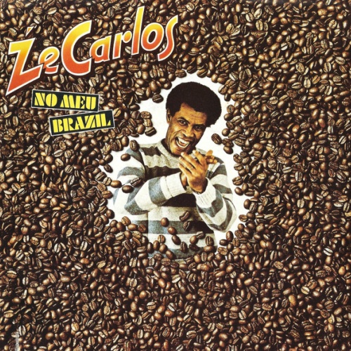 Vinyl / Ze Carlos* - No Meu Brazil
