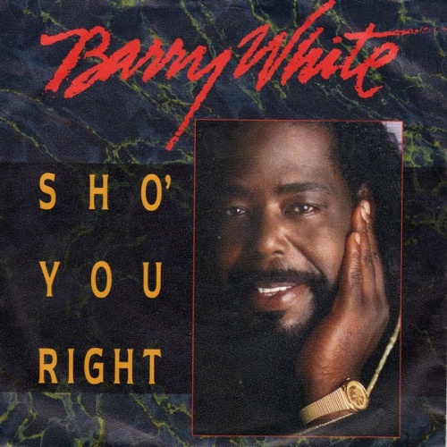Vinyl / Barry White - Sho' You Right