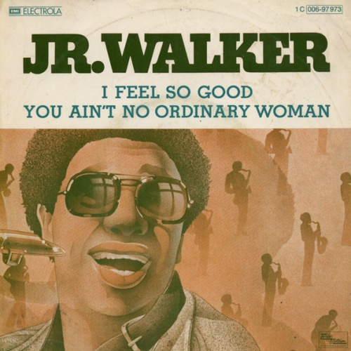 Vinyl / Jr. Walker* - I Feel So Good / You Ain't No Ordinary Woman
