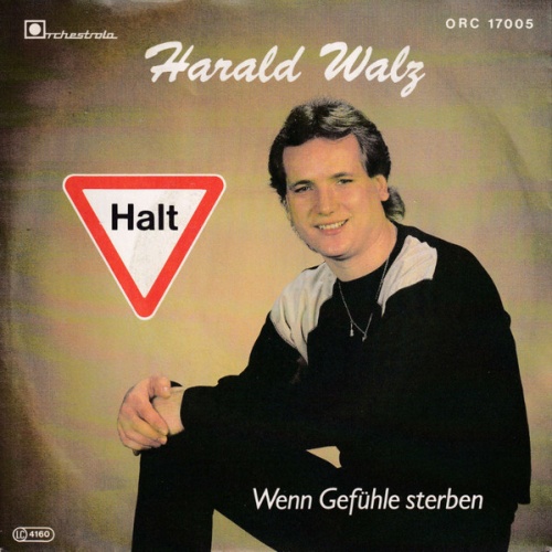 Vinyl / Harald Walz - Halt