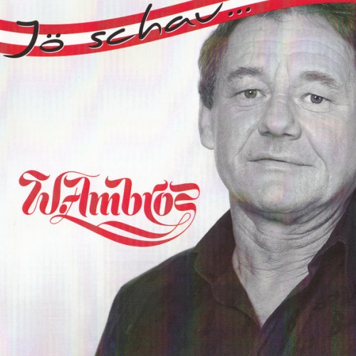 CD / W. Ambros* - Jö Schau...