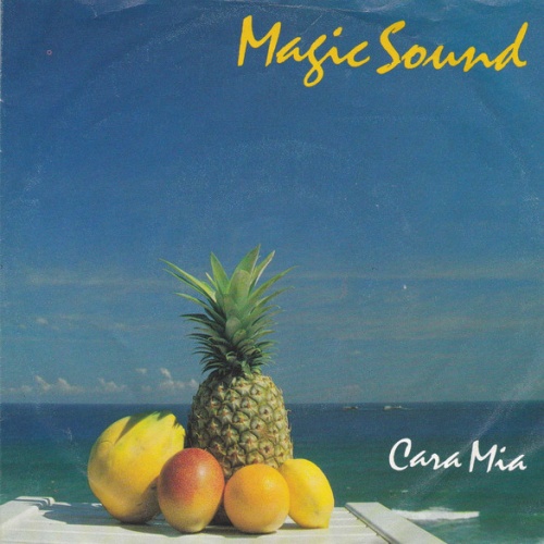 Vinyl / Magic Sound (2) - Cara Mia