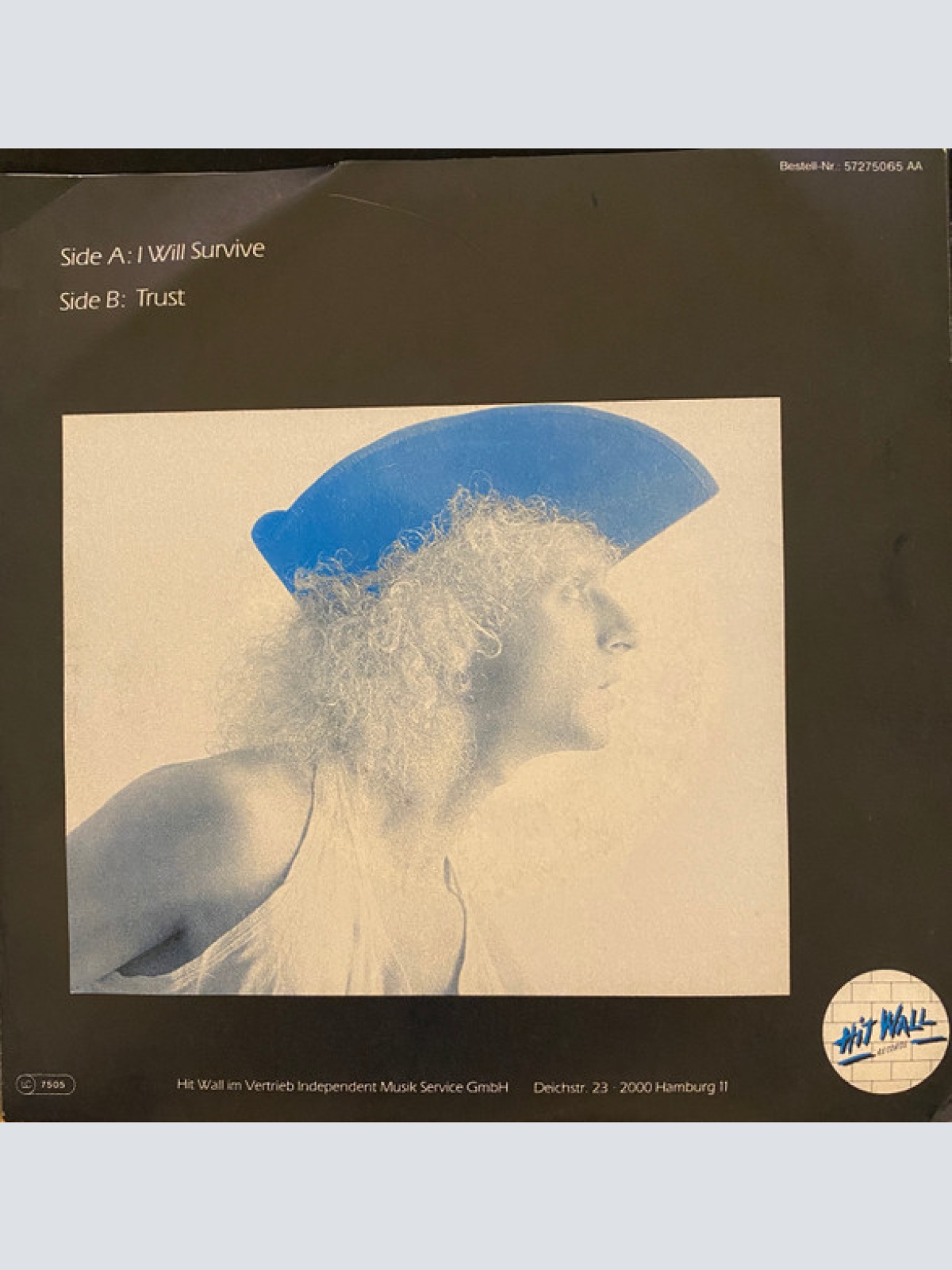 Vinyl / Eric Emm - I Will Survive