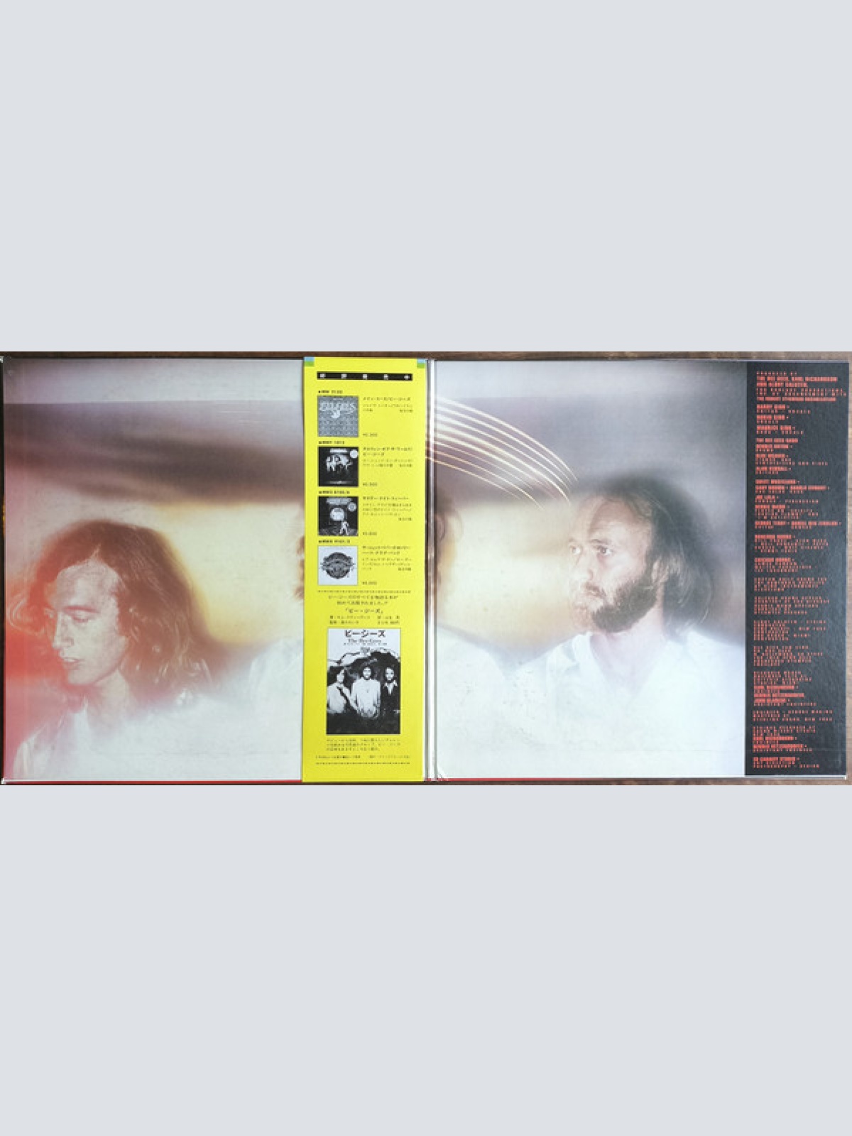 Vinyl / Bee Gees - Spirits Having Flown