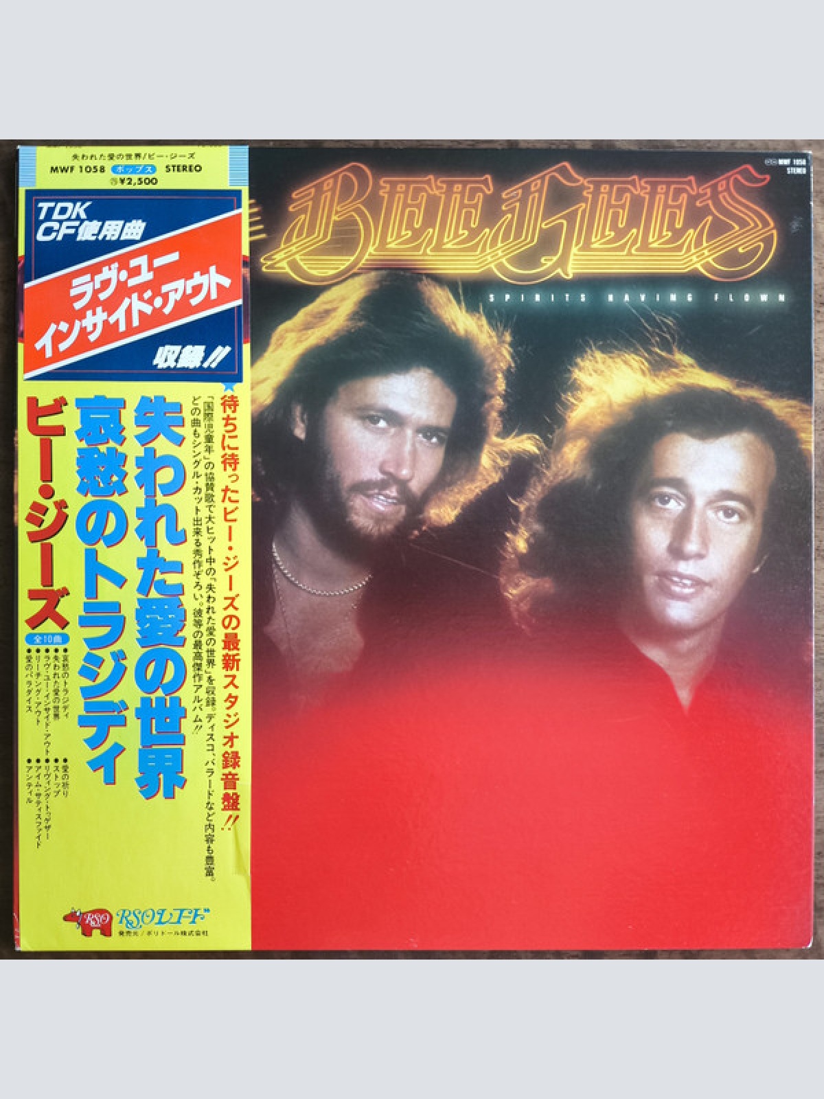 Vinyl / Bee Gees - Spirits Having Flown