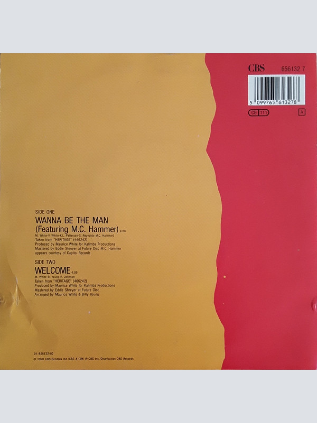 Vinyl / Earth, Wind & Fire Featuring M.C. Hammer* - Wanna Be The Man