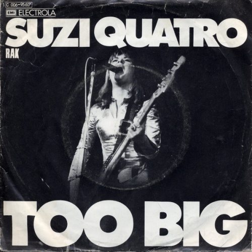 Vinyl / Suzi Quatro - Too Big