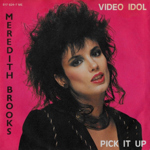 Vinyl / Meredith Brooks - Video Idol