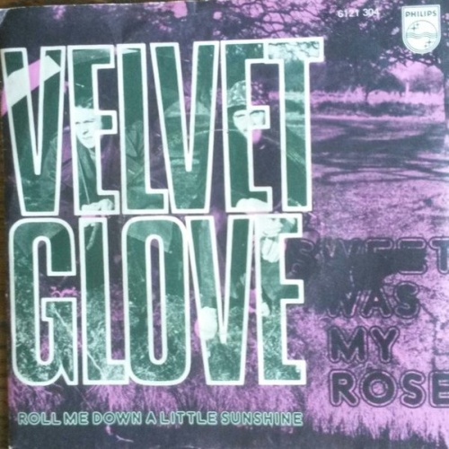 Vinyl / Velvet Glove - Sweet Was My Rose