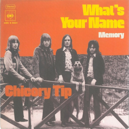 Vinyl / Chicory Tip - What's Your Name