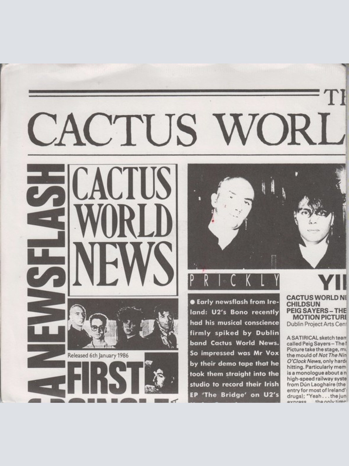 Vinyl / Cactus World News - Years Later