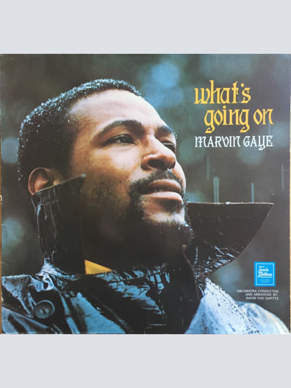 Vinyl / Marvin Gaye - What's Going On