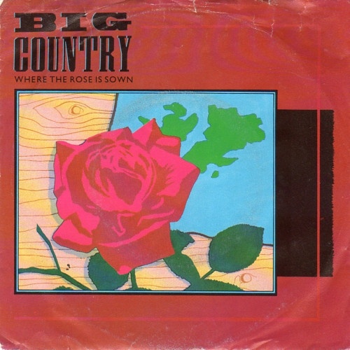 Vinyl / Big Country - Where The Rose Is Sown