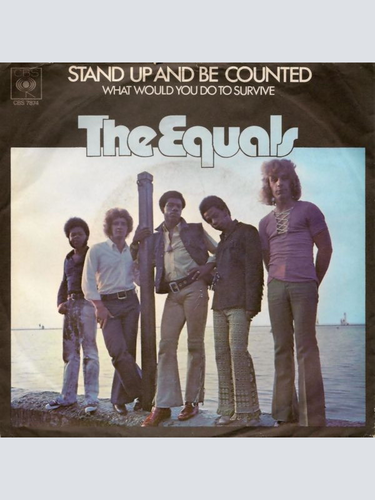 Vinyl / The Equals - Stand Up And Be Counted / What Would You Do To Survive