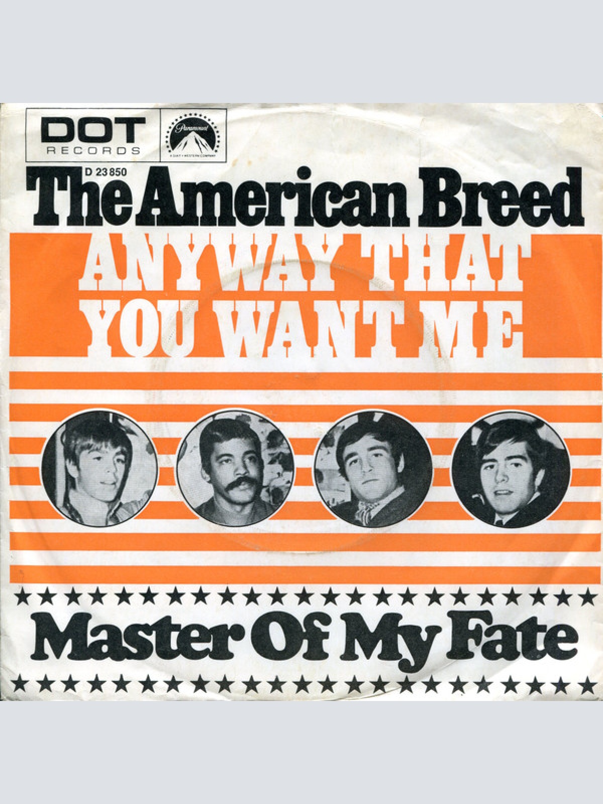 Vinyl / The American Breed - Anyway That You Want Me