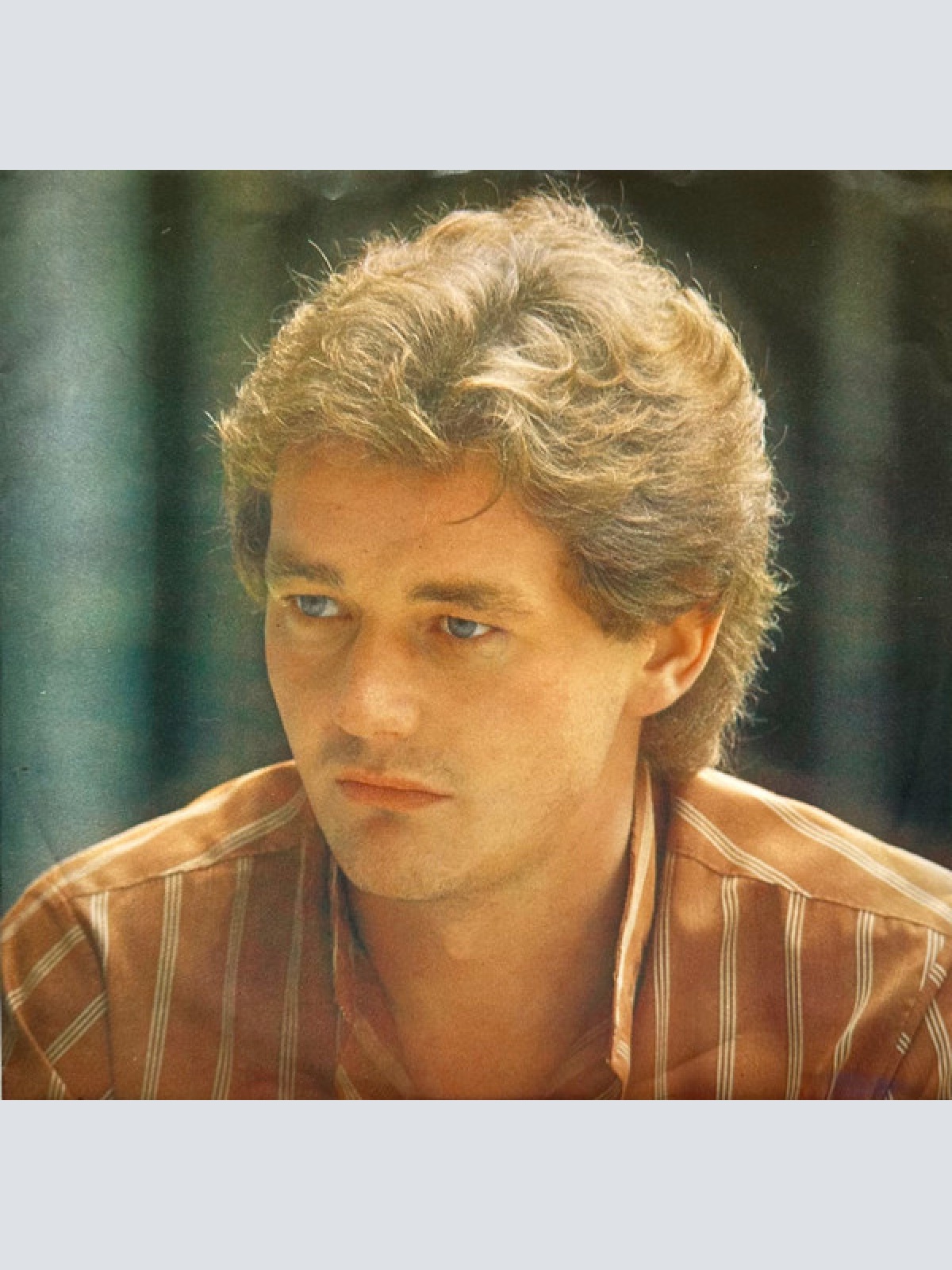 Vinyl / W. Ambros* - 1973-1983 Seine Größten Erfolge